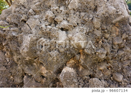 さざれ石 岩 巌 いわお さざれ石 岩 巌 いわお 96607134