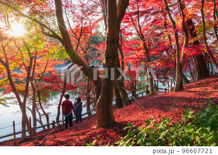 秋の岡崎市東公園〈愛知県岡崎市〉 96607721