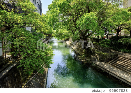 岐阜県大垣市 水門川の清流 岐阜県大垣市 水門川の清流 96607828