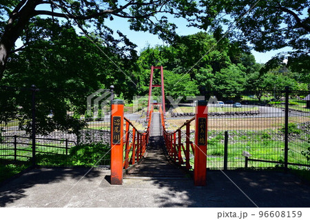 沼尾川親水公園(群馬県) 沼尾川親水公園(群馬県) 96608159