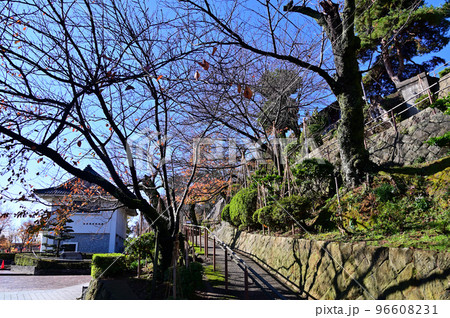福井県 丸岡城公園 福井県 丸岡城公園 96608231