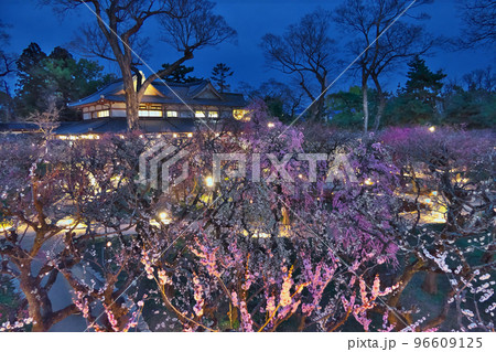 北野天満宮梅苑「花の庭」~展望台から日没直後の夜景 北野天満宮梅苑「花の庭」~展望台から日没直後の夜景 96609125