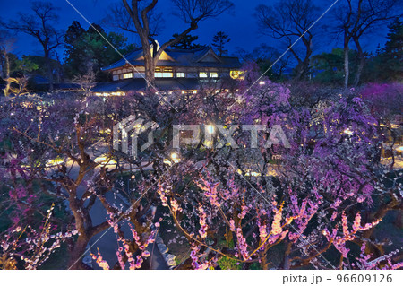 北野天満宮梅苑「花の庭」~展望台から日没直後の夜景 北野天満宮梅苑「花の庭」~展望台から日没直後の夜景 96609126