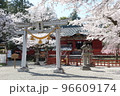 春爛漫、桜咲き乱れる世良田東照宮 96609174