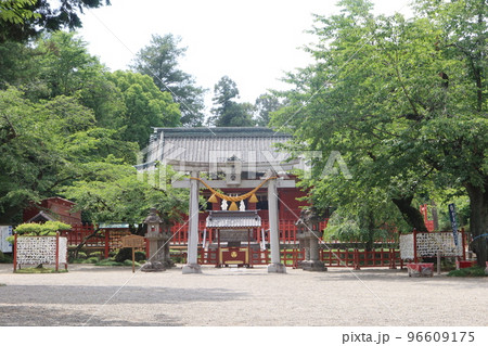 初夏、緑あふれる世良田東照宮 96609175