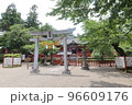 初夏、緑あふれる世良田東照宮 96609176