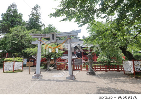 初夏、緑あふれる世良田東照宮 96609176