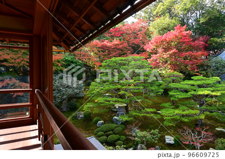 秋の滋賀県大津市の旧竹林院 名勝日本庭園 秋の滋賀県大津市の旧竹林院 名勝日本庭園 96609725