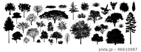 Tree silhouettes, Side view black, set of graphics trees elements outline symbol for architecture and landscape design drawing. Vector illustration in stroke fill . Tropical, oak, maple, poplar 96610987