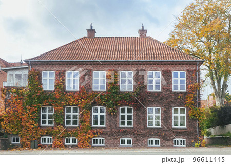 Beautiful tenement house overgrown with wild ivy in autumn Denmark 96611445