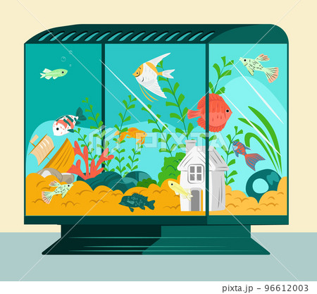 Cartoon aquarium fish swim in blue water, vector illustration. Life decorative tropical animals, beautiful sea nature at home. 96612003