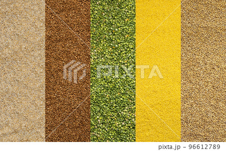 Various grain cereals banner Various grain cereals banner 96612789