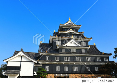 【岡山県】快晴の岡山城（令和の大改修後） 96613067