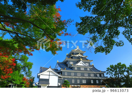 【岡山県】快晴の岡山城(令和の大改修後) 【岡山県】快晴の岡山城(令和の大改修後) 96613073