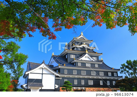 【岡山県】紅葉の岡山城（令和の大改修後） 96613074