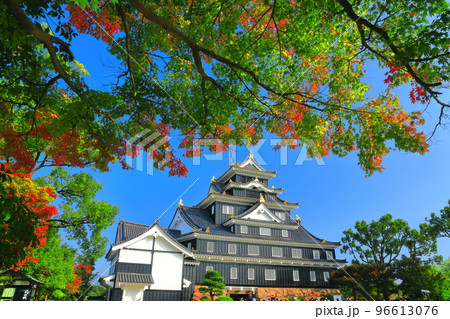 【岡山県】紅葉の岡山城（令和の大改修後） 96613076