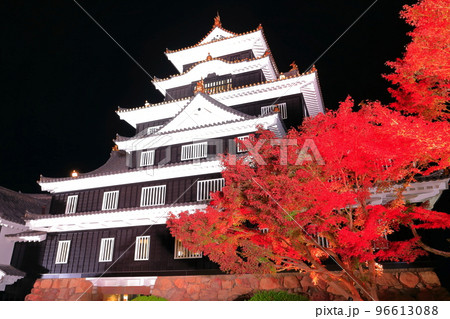【岡山県】岡山城の紅葉ライトアップ（令和の大改修後） 96613088