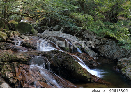 滑床渓谷 河鹿の滝 秋 (愛媛県 松野町) 滑床渓谷 河鹿の滝 秋 (愛媛県 松野町) 96613306