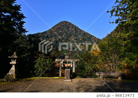元伊勢内宮皇大神社の紅葉 96613473