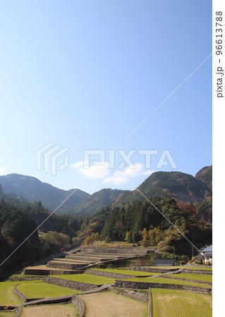 福岡県東峰村の竹棚田風景 96613788