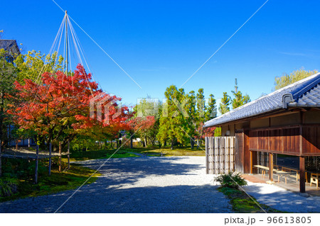 富山水墨美術館 庭園のもみじの紅葉 富山水墨美術館 庭園のもみじの紅葉 96613805