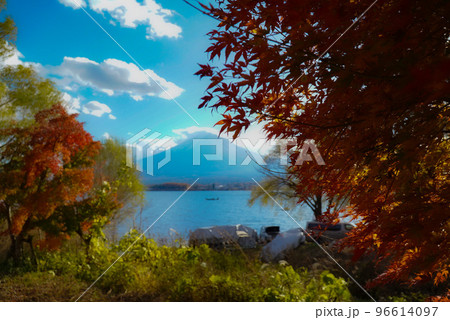 富士山と紅葉 96614097