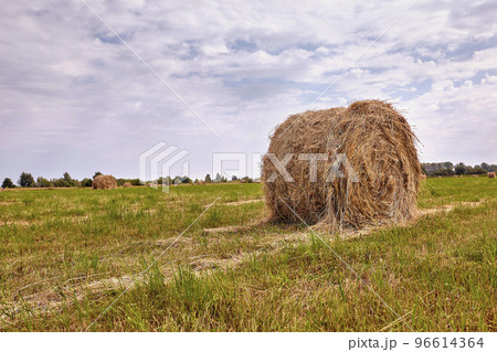 Haystack harvest agriculture field landscape. Agriculture field haystack view. Haystack harvest agriculture field landscape. Agriculture field haystack view. 96614364