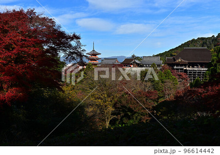 清水寺の紅葉 清水寺の紅葉 96614442