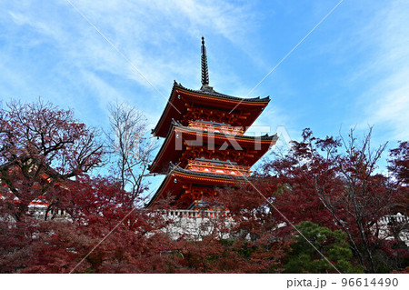 清水寺の紅葉 96614490