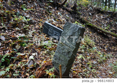 遠野遺産 続石 96614803