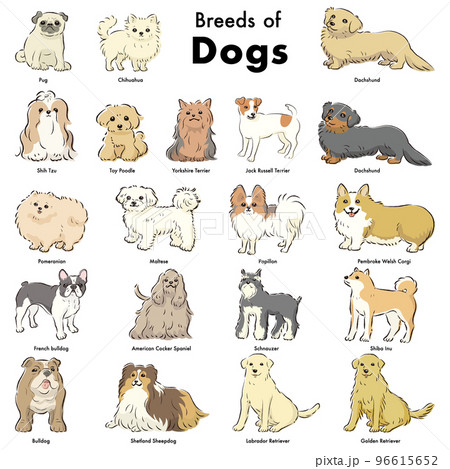 Simple and cute popular dog breed hand-drawn... - Stock ...