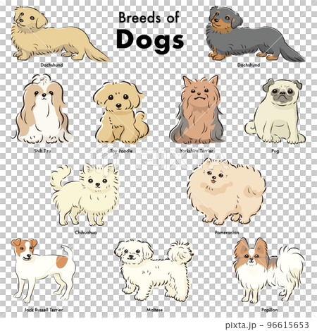 Simple and cute popular small dog breed hand-drawn line drawing vector illustration set 96615653