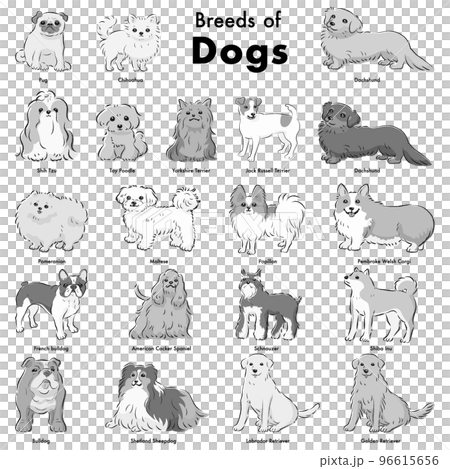 シンプルでかわいい人気の犬種 手描き線画ベクターイラストセット(白黒) シンプルでかわいい人気の犬種 手描き線画ベクターイラストセット(白黒) 96615656