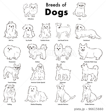 dogs drawings simple