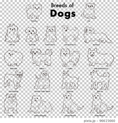 Simple and cute popular dog breed hand-drawn line drawing vector illustration set (black and white) 96615660