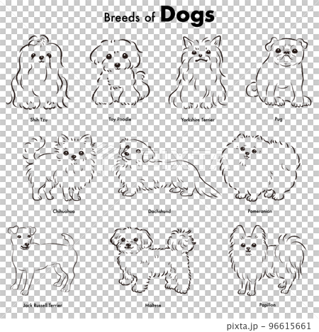 シンプルでかわいい人気の小型犬種　手描き線画ベクターイラストセット（白黒） 96615661