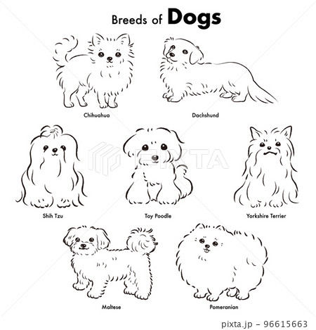 シンプルでかわいい人気の小型犬種 手描き線画ベクターイラストセット