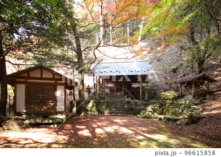 秋の勝手神社の参道 秋の勝手神社の参道 96615858