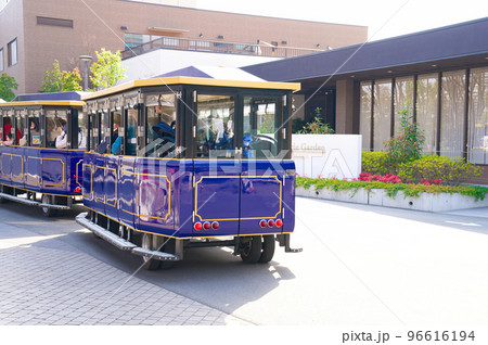 【大阪府】3月・大阪城公園に訪れた観光客 96616194