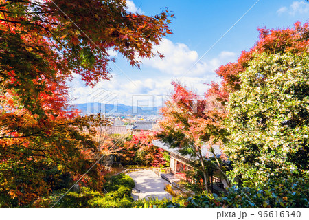 芭蕉庵から洛中一望 96616340