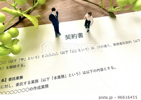 契約書を見る男性と女性のビジネスマン 契約書を見る男性と女性のビジネスマン 96616455