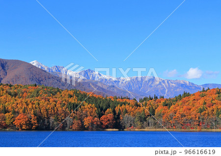 晩秋の青木湖と白馬三山 96616619