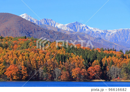 晩秋の青木湖と白馬三山 96616682