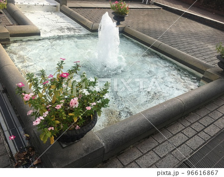お花と噴水 96616867