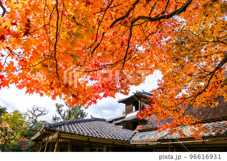 紅葉と嘯月楼 96616931