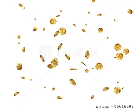 金貨 96616995