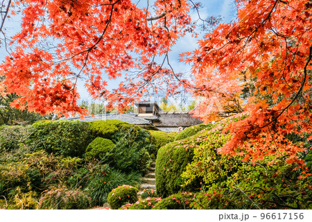 カエデと嘯月楼 96617156