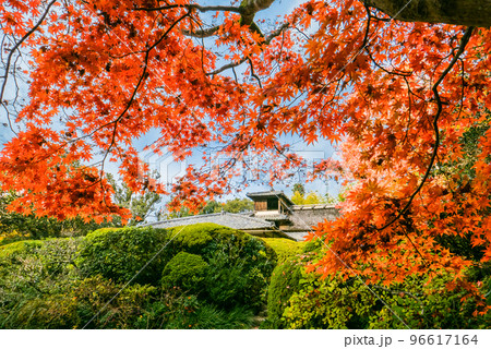 もみじと嘯月楼 96617164