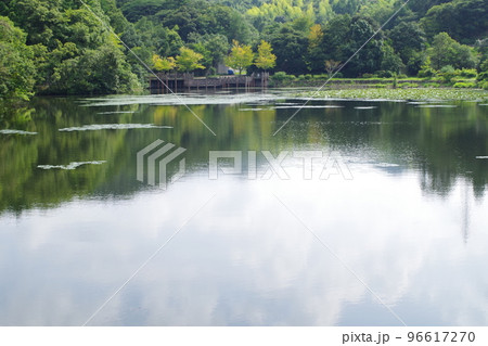 荒神谷遺跡公園の池の景色 荒神谷遺跡公園の池の景色 96617270