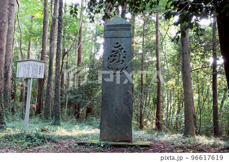 森の中の”延慶の板碑"と説明板【青石塔婆】／埼玉県比企郡毛呂山町 96617619